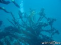 scuba diving photo