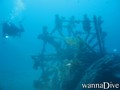 scuba diving photo