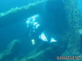 scuba diving photo