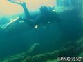 scuba diving photo