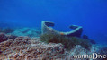 scuba diving photo