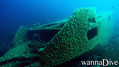 scuba diving photo