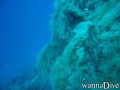 scuba diving photo