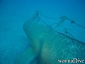 scuba diving photo