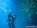 scuba diving photo