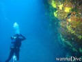 scuba diving photo