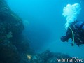 scuba diving photo
