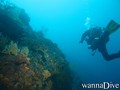 scuba diving photo