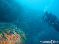 scuba diving photo