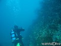 scuba diving photo