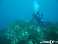 scuba diving photo