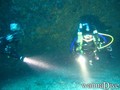 scuba diving photo