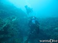 scuba diving photo