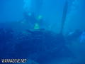 scuba diving photo