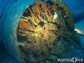 scuba diving photo