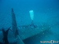 scuba diving photo