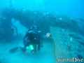 scuba diving photo