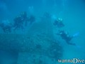 scuba diving photo