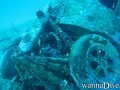 scuba diving photo