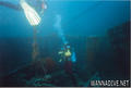 scuba diving photo