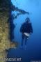 scuba diving photo