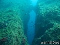 scuba diving photo