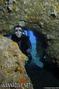 scuba diving photo