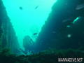 scuba diving photo