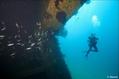 scuba diving photo