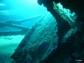 scuba diving photo