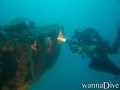 scuba diving photo