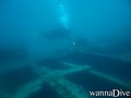 scuba diving photo