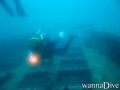 scuba diving photo