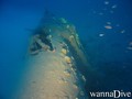scuba diving photo