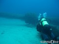 scuba diving photo