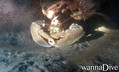 scuba diving photo