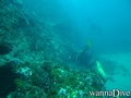 scuba diving photo