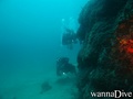 scuba diving photo