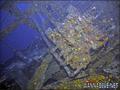 scuba diving photo