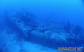 scuba diving photo