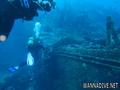 scuba diving photo