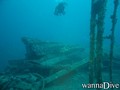 scuba diving photo