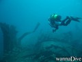 scuba diving photo