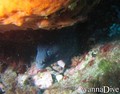 scuba diving photo