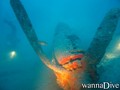 scuba diving photo