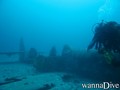 scuba diving photo