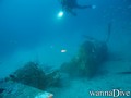 scuba diving photo