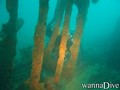 scuba diving photo