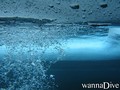 scuba diving photo