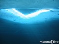 scuba diving photo